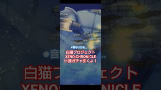 白猫新キャラガチャ11連で出たのは…？ #ゲーム #白猫プロジェクト
