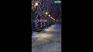 白猫プロジェクト　Secret Christmas Night　シークレットクリスマスナイト　聖夜のグランピング　ストーリー　バイノーラル　アイシャのささやき
