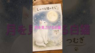 「月を見上げる白猫」ひとりじゃない夜|しゃべる猫のそら
