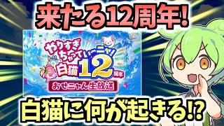 【白猫】12周年(生放送)はどうなる!? 何が起きるか徹底考察・妄想!