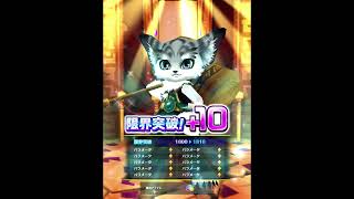 ユーザーの居ない12周年ガチャ。  #マキマプロジェクト #白猫プロジェクト #白猫 6