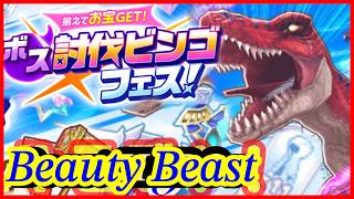 【白猫プロジェクト】12周年ビンゴフェス&12周年HELL攻略‼︎推しと共に第5夜を