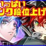 【白猫プロジェクト】12周年キャラが強すぎてランク段位上げが捗りたい【儚5周回】