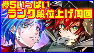 【白猫プロジェクト】12周年キャラが強すぎてランク段位上げが捗りたい【儚5周回】