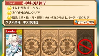 【白猫】 拳ゼティス HELL 神域の試練IV ソロ
