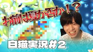 【白猫】夏れ！2026の夏を満喫する者たち！！part１（キャラ紹介）