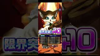 【ウイングス オブサマー メモリーズ】8/15広告分 #白猫プロジェクト