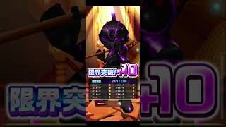 【サマー・ビーチ・バケーション】8/6広告分 #白猫プロジェクト