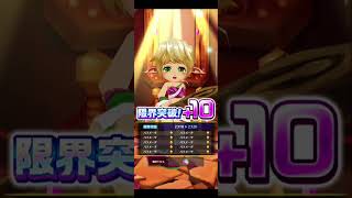 【サマー・ビーチ・バケーション】8/9広告分 #白猫プロジェクト