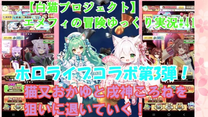 【白猫プロジェクト】エメフィの冒険ゆっくり実況#41ホロライブコラボ第3弾！猫又おかゆと戌神ころねを狙いに引いていく！