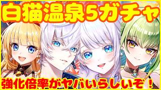 【白猫プロジェクト】温泉物語5ガチャ♨️浴衣姿もコンプするぞ！