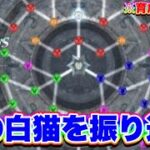 【懐かしい！】昔の白猫の画面やシステム、使わなくなったアイテムなど少しまとめてみた！【白猫プロジェクト】